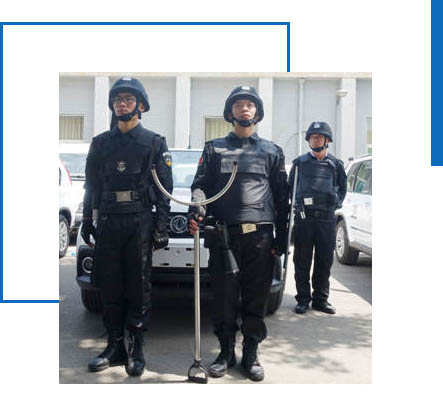 北京中保國衛公司簡介